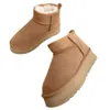 Boos Ultra Mini Platform تكمن في حذاء الخردل بذور Driftwood Goat Boot Tazz Slippers Tasman Slides Les Petites Suede Wool Blend Australia 764