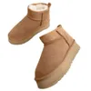 Boos Ultra Mini Platform Lies Stivali Stivali di senape Driftwood Goat Boot Tazz Pantofole Tasman Slides Les Petites Pelle scamosciata Misto lana Australia 327