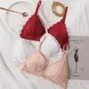 Soutien-gorge en dentelle à section fine, couleur unie, broderie creuse, haut tubulaire triangulaire, doux, sans couture, sous-vêtements pour femmes, dos bas transparent