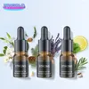 3pcs Car Air Freshener Aromatherapy Specific Essential Oil Floral Ocean Cologne Three Fragrances Supplies