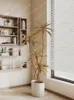 Dekoratif Çiçek Kapalı Oturma Odası Peyzaj Bitkileri Zemin Bonsai Yumuşak Dekorasyon Süsleri Krem tarzı mobilyalar
