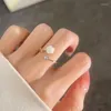 Cluster Ringe 2024 Elegante weiße Rose Öffnung für Frauen Mode Retro Einstellbare Zirkon Blume Ring Party Hochzeit Schmuck Geschenke