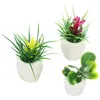 Flores decorativas 3 uds planta en maceta en miniatura Mini decoración de la casa plantas bonsái estilo aleatorio