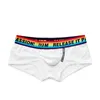 Underpants Men's Underwear Low Waist Sexy Solid Color Black And White Basic Rainbow Independent Capsule Design Boxer Briefs