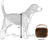 Designer Dog Toys Dog Diggin Designs Runway Pup Collection, exclusivo Squeaky Parody Plush Dog Toys Haute Couture Bolsas Bolsas para Cães Pequenos H29