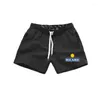 Men's Shorts Y2k Summer Ricard Swimsuit Beach Quick Drying Trunks For Men Swimwear Sunga Boxer Briefs Board Fast Dry