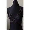 Altri set di gioielli Semplice triangolo in metallo con catena pettorale Collana con imbracatura Gioielli Sexy bikini femminile Catena in metallo con fascino Abbigliamento Accessori per decorazioni YQ240204