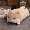 50 cm simpatico criceto topo peluche farcito morbido animale Hamtaro cuscino scaldamani adorabili bambini giocattolo per bambini regalo di Natale 240118