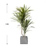 Decorative Flowers Green Sago Cycas Emulational Plants And Plant Pot Decoration Large Floor For Living Room