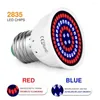Grow Lights 220V E27 LED Hydroponic Plant Growth Light B22 Bulb MR16 Full Spectrum UV Lamp E14 Flower Seedling Fitolamp Gu10