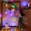 5M USB LED String Lights Rame Argento Filo Ghirlanda Luce Fata Luci impermeabili per la decorazione della festa nuziale di Natale