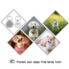 Hundtagg Personlig blommor Pet Namn Taggar gratis gravering Kattunge valp Anti-Lost Collage Collar för hundkatter Namnplatta