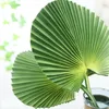 Dekorative Blumen Künstlicher Palmblatt-Tropen-PU-Fächer für Hochzeits-PO-Requisiten