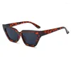 Sunglasses Luxury Retro Hexagonal For Men Fashion Cat Eye Small Frame Women Street Po Sun Eyeglasses