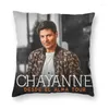 Pillow Chayanne Dance With Me Cover Bedroom Decoration Latin Pop Singer Sofa For Living Room Velvet Pillowcase