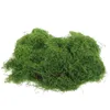 Dekorativa blommor Simulerade Moss Turf HOUNTHOFTION LIVE inomhus Fake Green For Pearl Cotton Decor Office