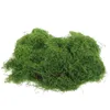 Decorative Flowers Simulated Moss Turf Houseplants Live Indoor Fake Green For Pearl Cotton Decor Office