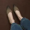 Sapatos de vestido francês colorido apontado corte raso único sapatos para primavera feminina novo couro macio confortável salto grosso baixo