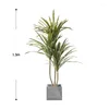 Decorative Flowers Green Sago Cycas Emulational Plants And Plant Pot Decoration Large Floor For Living Room