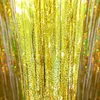 Party Decoration 1PC Backdrop Curtain Foil Tassel Glitter Kids Girls and Boys Birthday Bridal Wedding Baby Shower Wall Decor Po