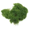 Decorative Flowers Simulated Moss Turf Houseplants Live Indoor Fake Green For Pearl Cotton Decor Office