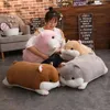 50 cm simpatico criceto topo peluche farcito morbido animale Hamtaro cuscino scaldamani adorabili bambini giocattolo per bambini regalo di Natale 240118