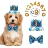 Dog Apparel Pet Crown Hat Birthday Reusable Party For Cat Headband Hats Gift Grooming Accessories With Glue Dots