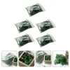 Decorative Flowers 5 Packs Artificial Moss Prop Flowerpot Landscaping Imitation Plant Nylon Fairy Garden Plants