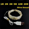 パーティーの装飾Paamaa USB LED STRING LIGHTS COPPER SILVER SILVER WIRE GARLAND LIGHT Waterproof Fairy for Christma