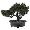 Fleurs décoratives bonsaï arbre simulé faux pin plante en pot plantes artificielles pour la décoration intérieure bureau réaliste