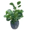 Decorative Flowers Low Maintenance Real Looking Fiddle Leaf Busy Individuals Eco-friendly Artificial Potted Plants