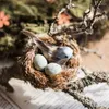 Decorative Figurines 1PC Bird Craft Natural Feathers Nest Eggs Brooch Clip American Country Home Desk Room Garden Decoration