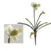 Decorative Flowers Artificial Flower Real Touch Orchid With Green Leaf Home El Wedding Decoration Store Decor Fake