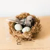 Decorative Figurines 1PC Bird Craft Natural Feathers Nest Eggs Brooch Clip American Country Home Desk Room Garden Decoration