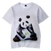 Homens camisetas Verão Panda Meninos Mulheres Cor T-shirt 3D Impressão Esportes Respirável Leve Semi-transparente Fitness Top