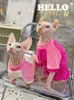 Chat sans poils Sweatershirt Mode Printemps Automne Chats Gilet Coloré Sphynx Vêtements Col À Revers Sous-Manteau pour Chiot Chaton Animal De Compagnie 240130