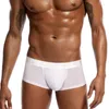 Sous-vêtements Pinky Senson Mens Brief Hommes Sous-vêtements en soie de glace Boxer Pantalon mince taille basse Couleur unie Plus Taille Sexy