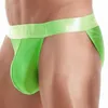 Underpants 2024 Sexy Underwear Men Jockstrap Low Waist Mesh Gay Man's Bikini Briefs Men's Lingerie Cueca Calzoncillos