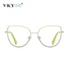 Sonnenbrille VICKY Fashion Gradient Frame Große Anti-Blaulicht-Lesebrille Kundenspezifische verschreibungspflichtige Computerbrille PFD3081