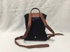 Hochwertiger Nylon-Rucksack, lang, französische Designer-Damenmarke, Falttasche, Champs-Reise-Einkaufs-Leinentasche