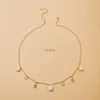 Andra smyckesuppsättningar Punk Tassels Shell Star Pendant Charm Sexig kropp Midja Kedjor Kvinnor Multi Lay Belly Belt Chain Summer Bikini Beach Jewelry Y022 YQ240204