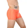 Sous-vêtements Gays U convexe poche culotte pour hommes amusant Boxer Shorts rayé transparent troncs maille sous-vêtements Sissy Lingerie