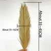 Decorative Flowers 5PCS Dried Natural Sago Cycas Branch Fruticose Dracaena Dry Palm Fan Leaves Party Art Wall Hanging Wedding Decoration