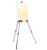 Ginflash Colored Easel Aluminiumiron Alloy Folding Painting Easel Frame Artist Adjustable Tripod Display Shelf With Outdoors 240129