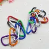 100PCS/Lot Colorful Aluminium Alloy Climbing Buckle Keychain Carabiner Safety Buckle Hook Outdoor Camping Hiking Tools Random 240124