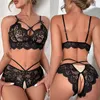 Bras Sets Comfortable Lace Sexy Lingerie Women Bra and Panty Set See Through Open Crotch Womens Underwear Erotic Costumes