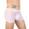 Sous-vêtements Gays U convexe poche culotte pour hommes amusant Boxer Shorts rayé transparent troncs maille sous-vêtements Sissy Lingerie