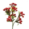 Dekoratif Çiçekler 5 PCS Simülasyon Köpük Fortune Meyve Yılı Çiçek Kırmızı Berry Noel Dekorasyon Evi Livingr Oda Düzenlemesi