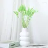 Decoratieve bloemen Real Nature Rabbit Tail Grass Pamaps Gedroogde bloem gemengd boeket kleurrijke lagurus ovatus voor boho po props