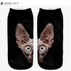 Women Socks ZHBSLWT 3D Print Animal Sphynx Cat Calcetines Casual Cute Character Low Cut Ankle Multiple Colors Harajuku